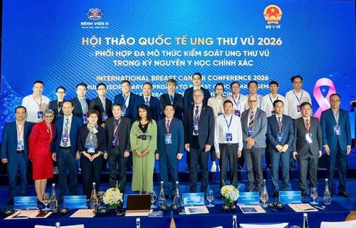 Các chuyên gia trong nước và quốc tế tham dự hội thảo.