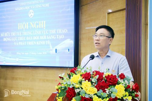 Phó Giám đốc Sở Văn hóa, Thể thao và Du lịch Nguyễn Khắc Vĩnh chia sẻ tại hội nghị. Ảnh: Hải Quân