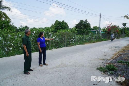 Gia đình chị Nguyễn Thị Yến Linh góp kinh phí xây dựng, mở rộng tuyến đường nông thôn tại xã Phú Hựu, góp phần tạo thuận lợi cho người dân đi lại.