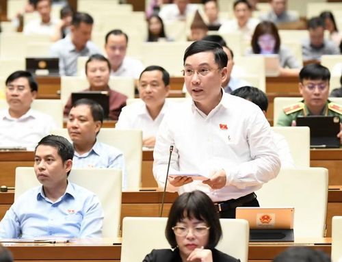 ĐB Lê Hoàng Anh cho rằng việc thành lập TP. Đồng Nai là cần thiết, đúng lúc, không thể chậm trễ. Ảnh: Đoàn ĐBQH tỉnh