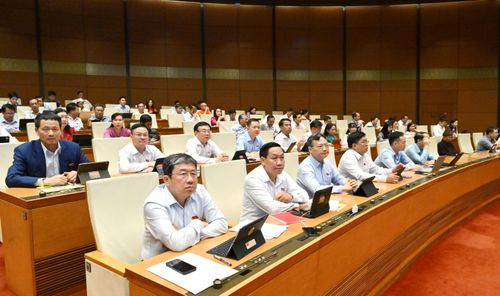 Đoàn ĐBQH Đồng Nai tham dự phiên họp. Ảnh: Quang Khánh