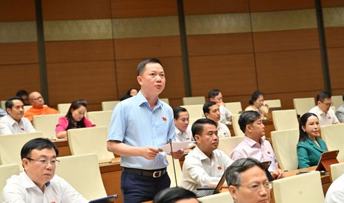 ĐBQH Trịnh Xuân An (Đồng Nai) phát biểu. Ảnh: Quang Khánh