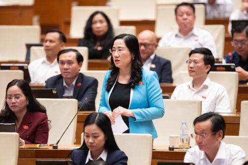 ĐBQH Nguyễn Thị Thủy (Thái Nguyên) phát biểu. Ảnh: Phạm Thắng