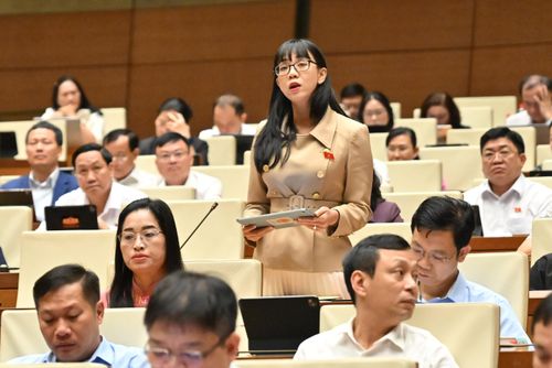 ĐBQH Trịnh Thị Tú Anh (Lâm Đồng) phát biểu. Ảnh: Quang Khánh