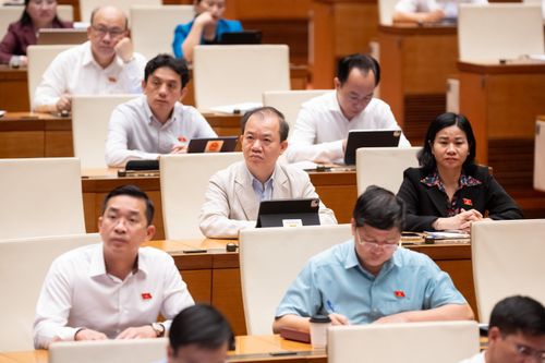 Các đại biểu tham dự phiên họp. Ảnh: Phạm Thắng