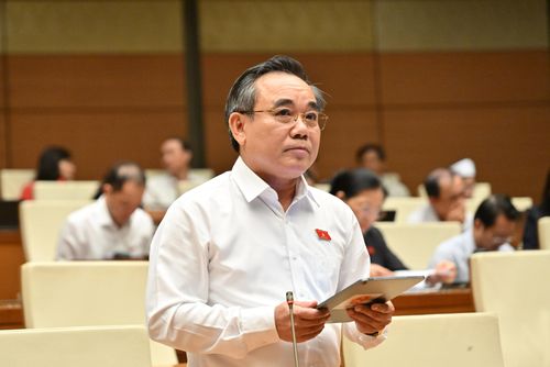 ĐBQH Lê Hữu Trí (Khánh Hòa) phát biểu. Ảnh: Quang Khánh