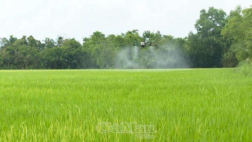 Việc áp dụng máy bay drone trong nông nghiệp minh chứng cho sự hiện diện của KHCN trong sản xuất.