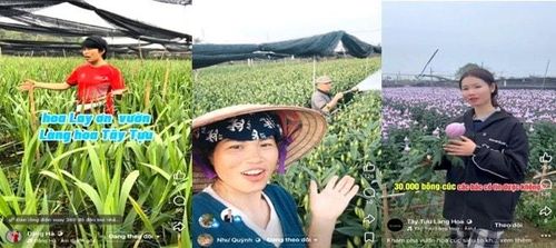 Nhiều hộ gia đình trồng hoa ở Tây Tựu chủ động ứng dụng công nghệ số để quảng bá, tiêu thụ sản phẩm. Ảnh ĐH
