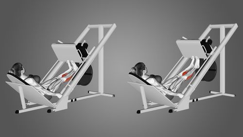 Bài tập nhón gót với máy đạp chân (calf raise on leg press).