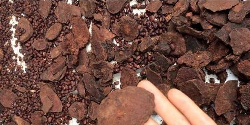 Hà thủ ô chế kết hợp với dâu tằm và mè đen làm đen tóc, giảm rụng tóc.