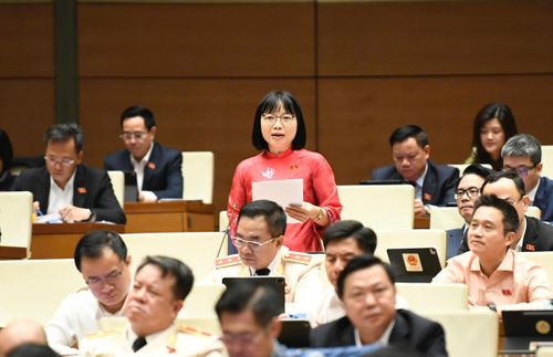Bà Nguyễn Thị Việt Nga phát biểu (Ảnh: Quang Vinh)