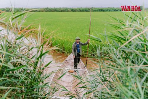Hàng ngày, ông Xuân chèo thuyền phục vụ du khách tham quan vùng phá Hạc Hải