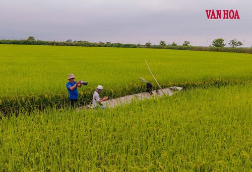Đây cũng chính là "vựa lúa" lớn nhất của tỉnh Quảng Bình (cũ)