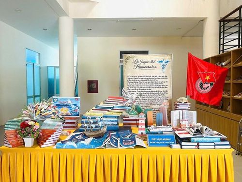 Nhiều mô hình Trưng bày tư liệu và xếp sách nghệ thuật