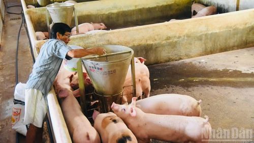 Cùng với công nghiệp, nông nghiệp Đồng Nai cũng phát triển hàng đầu cả nước. Trong đó, tỉnh có đàn lợn nhiều nhất cả nước với hơn 4,1 triệu con. Đồng Nai là nơi cung ứng khoảng 70% thịt lợn cho thị trường Thành phố Hồ Chí Minh và các tỉnh phía nam.