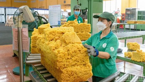 Đồng Nai hiện là địa phương có diện tích trồng cây cao-su lớn nhất cả nước với hơn 242 nghìn ha (chiếm 26% diện tích cả nước). Đồng Nai cũng là nơi chế biến cao-su hàng đầu cả nước phục vụ thị trường nội địa và xuất khẩu. Đây là cái túi cao-su chủ lực của Tập đoàn Công nghiệp cao-su Việt Nam, chiếm khoảng 1/3 tổng sản lượng ngành, đưa Đồng Nai không chỉ là địa bàn cao-su chủ lực, mà còn là địa phương có năng suất vườn cây cao-su cao nhất Việt Nam và cao nhất thế giới.
