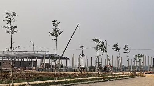 Nhà đầu tư thi công xây lắp cơ sở sản xuất trên mặt bằng Cụm công nghiệp Hợp Thắng, tỉnh Thanh Hóa.