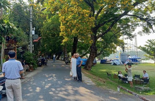 Du khách đến với "con đường hoa sưa" Vườn Cừa trước ngày diễn ra lễ hội.