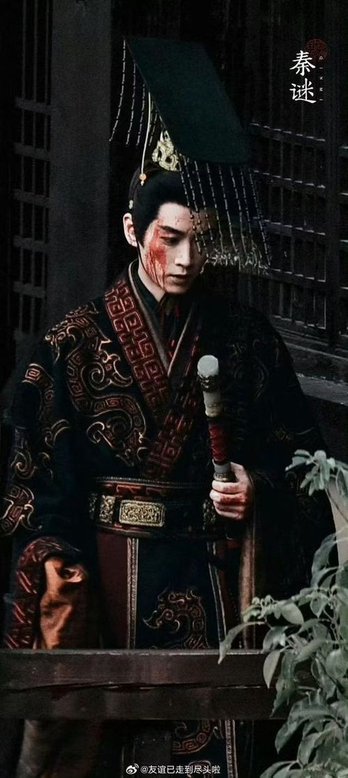 Để đáp trả những nghi vấn cho rằng "Trần Hiểu quá nho nhã, yếu đuối", Sina cho hay ghi chép "sống mũi cao và cong, mắt dài" trong Sử ký vốn đã thiên về tướng tá gầy, âm u, chứ không phải hình tượng hổ lang cứng nhắc. Ngoại hình gầy gò của Trần Hiểu phù hợp với trạng thái suy yếu trong những năm cuối đời mải mê luyện đan, đồng thời cũng tương ứng với phát hiện về hàm lượng thủy ngân vượt ngưỡng trong lăng mộ Tần Thủy Hoàng qua khảo cổ học.
