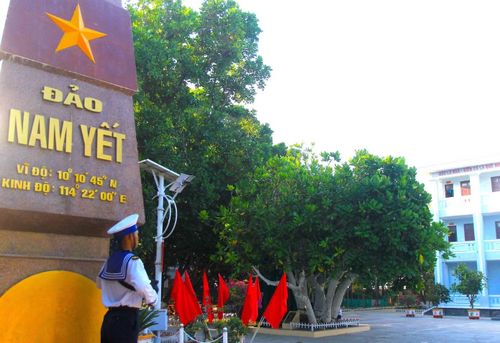 Cây bàng vuông mọc trước Sở Chỉ huy đảo Nam Yết.