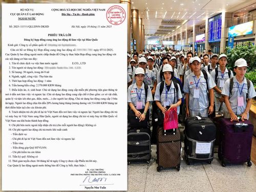 Phiếu trả lời mà các doanh nghiệp xuất khẩu lao động cho rằng như "giấy phép con", gây kéo dài thời gian, làm nguy cơ phát sinh cho doanh nghiệp.