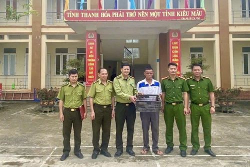 Người dân giao nộp cá thể tê tê.