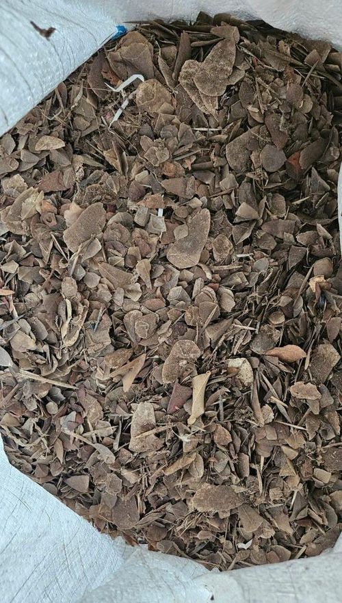 Vảy tê tê là tang vật vụ án