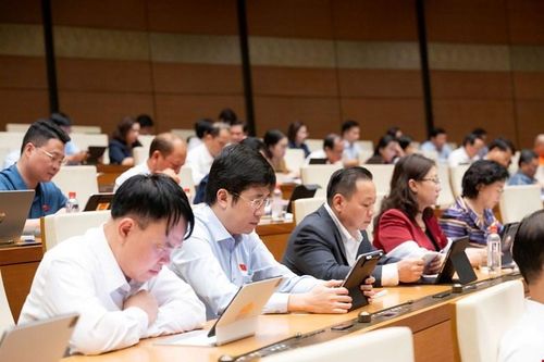  Các đại biểu tham dự phiên họp. (Ảnh: CTTĐT Quốc hội)