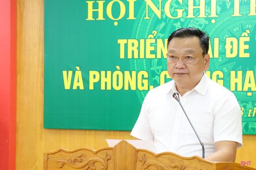 Phó Chủ tịch UBND tỉnh Hồ Huy Thành phát biểu chỉ đạo tại hội nghị.