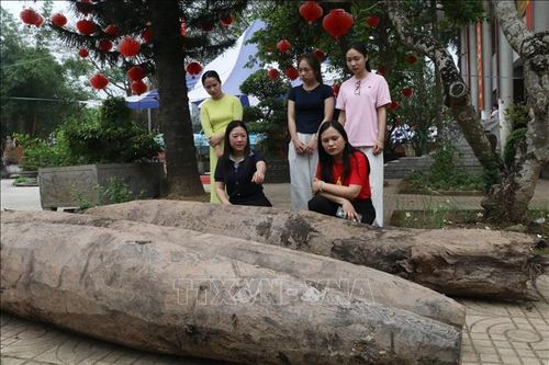 Các đặc điểm của các cọc gỗ có nhiều điểm tương đồng với hệ thống cọc gỗ từng phát hiện tại khu vực chợ Sa (Bắc Ninh).