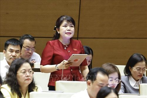 Đại biểu Quốc hội tỉnh Quảng Ninh Nguyễn Thị Thu Hà. Ảnh: Doãn Tấn/TTXVN