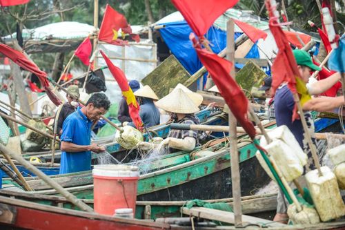 Trong khi đó, trên bờ, người thì kiểm tra lại con thuyền sau một đêm vất vả đánh bắt, người thì phân loại hải sản. Tất cả tạo nên một bức tranh lao động sống động, giản dị nhưng đầy sức sống.