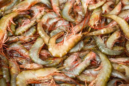 Mùa này, chợ hải sản ven biển Sầm Sơn đặc biệt phong phú với đủ loại như cua, ghẹ, bề bề, tôm, cá trích... mang đến cho du khách nhiều lựa chọn hấp dẫn ngay từ những mẻ lưới đầu tiên trong ngày.