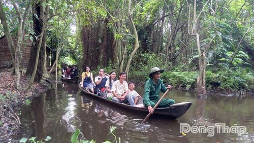 Trải nghiệm đi xuồng ba lá dưới tán rừng tràm tại Khu di tích Xẻo Quít, góp phần tái hiện không gian căn cứ cách mạng trong kháng chiến.