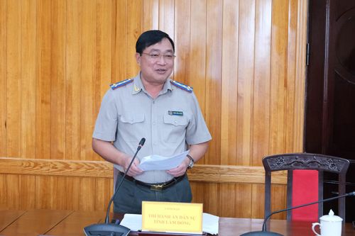 Đại diện lãnh đạo Thi hành án tỉnh nêu báo cáo tình hình thực hiện