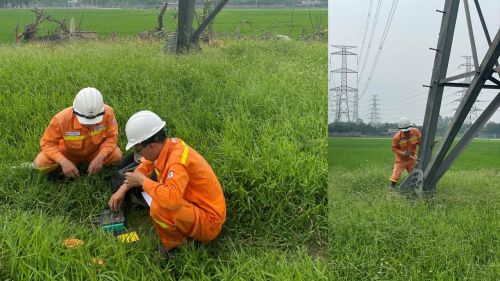 Tổ quản lý vận hành đường dây Hà Nội 2 kiểm tra điện trở tiếp địa tại vị trí 64 đường dây 500kV Hiệp Hòa – Đông Anh (ảnh CTV TTĐ Hà Nội)