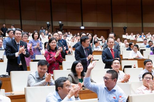 Đại biểu đoàn Hà Nội đứng lên, tri ân Quốc hội khi dự thảo Luật được thông qua. Ảnh: Media Quốc hội.