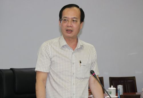 Ông Trần Trí Quang, Chủ tịch UBND tỉnh Vĩnh Long cho biết, trên cơ sở phân tích, đánh giá ưu điểm và hạn chế của các phương án sơ bộ, Vĩnh Long đề nghị các địa phương thống nhất điều chỉnh tiến trình đầu tư xây dựng dự án thực hiện hai giai đoạn.