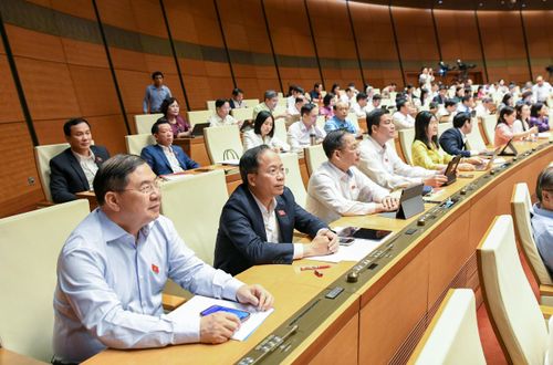 Các đại biểu dự phiên họp. Ảnh: Lâm Hiển