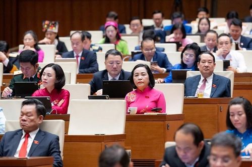 Các đại biểu Quốc hội tại Phiên thảo luận