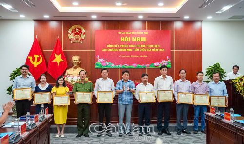 Phó Chủ tịch UBND tỉnh Lê Văn Sử trao tặng Bằng khen của Chủ tịch UBND tỉnh cho các cá nhân có thành tích tiêu biểu, xuất sắc.