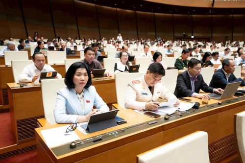 Đại biểu tham dự phiên làm việc sáng 23-4. Ảnh: media.quochoi.vn