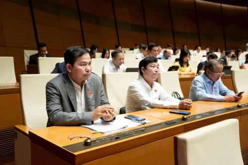 Các đại biểu tham dự phiên họp. Ảnh: media.quochoi.vn