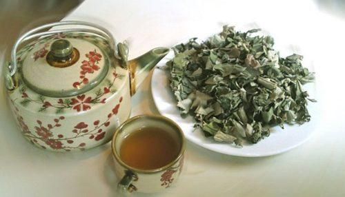 Trà lá vông nem hỗ trợ mất ngủ.