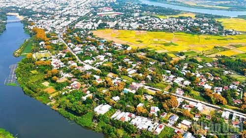Làng sinh thái Hương Trà, phường Hương Trà là địa phương sở hữu quần thể sưa cổ thụ hiếm có với tuổi đời trung bình hơn 100 năm.