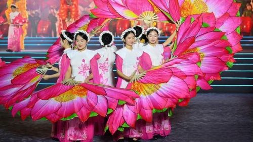 Tiết mục biểu diễn tại Khai mạc Lễ hội Làng Sen 2025. (Ảnh: THÀNH CƯỜNG)