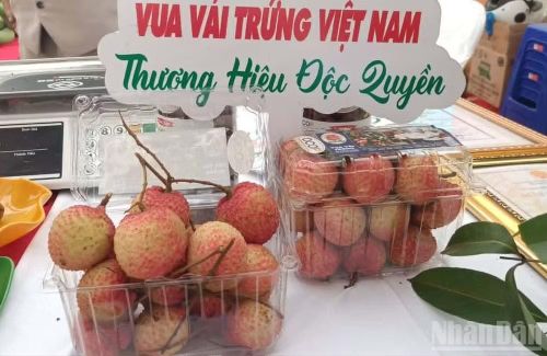 Vải trứng - một đặc sản của tỉnh Hưng Yên được giới thiệu tại Liên hoan ẩm thực.