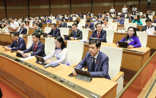 ĐB Quốc hội dự kỳ họp, sáng 24-4. Ảnh: QUANG PHÚC