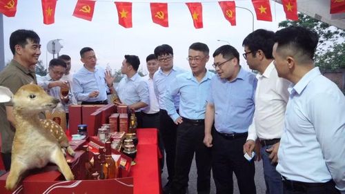 Khách hàng tham quan các gian hàng tại hội chợ.