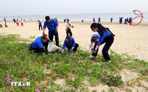 Tuổi trẻ Đà Nẵng ra quân dọn vệ sinh môi trường biển tại Ngày hội. (Ảnh: Trần Lê Lâm/TTXVN)